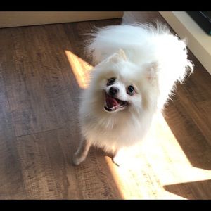 Meet your Posher, Aileen